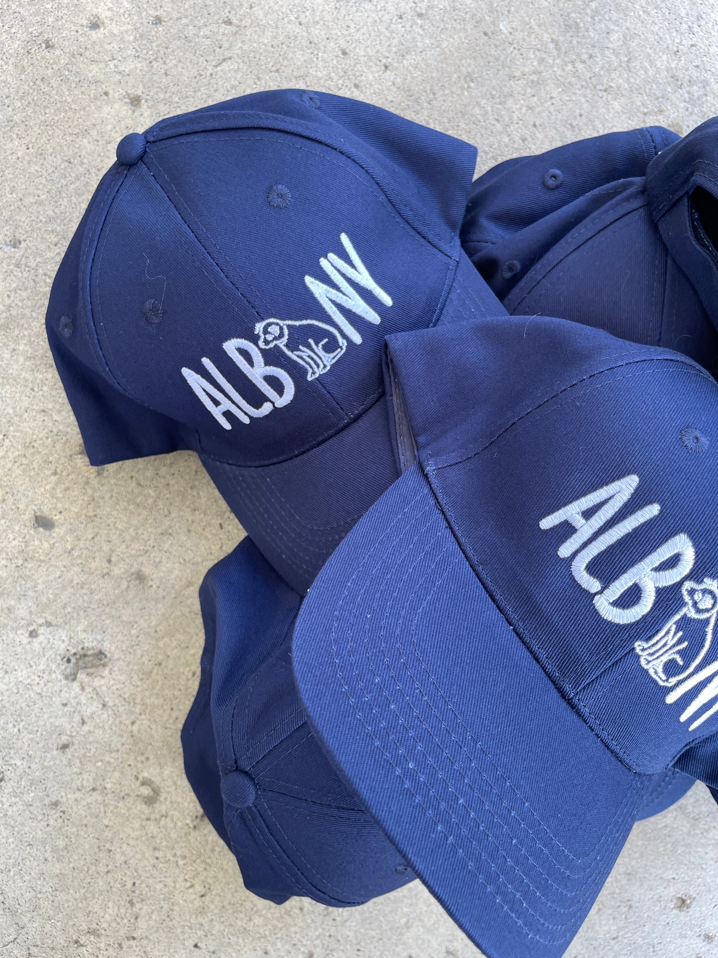 Albany Nipper Baseball Hat