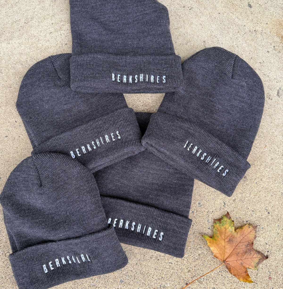 Berkshires Knit Beanie