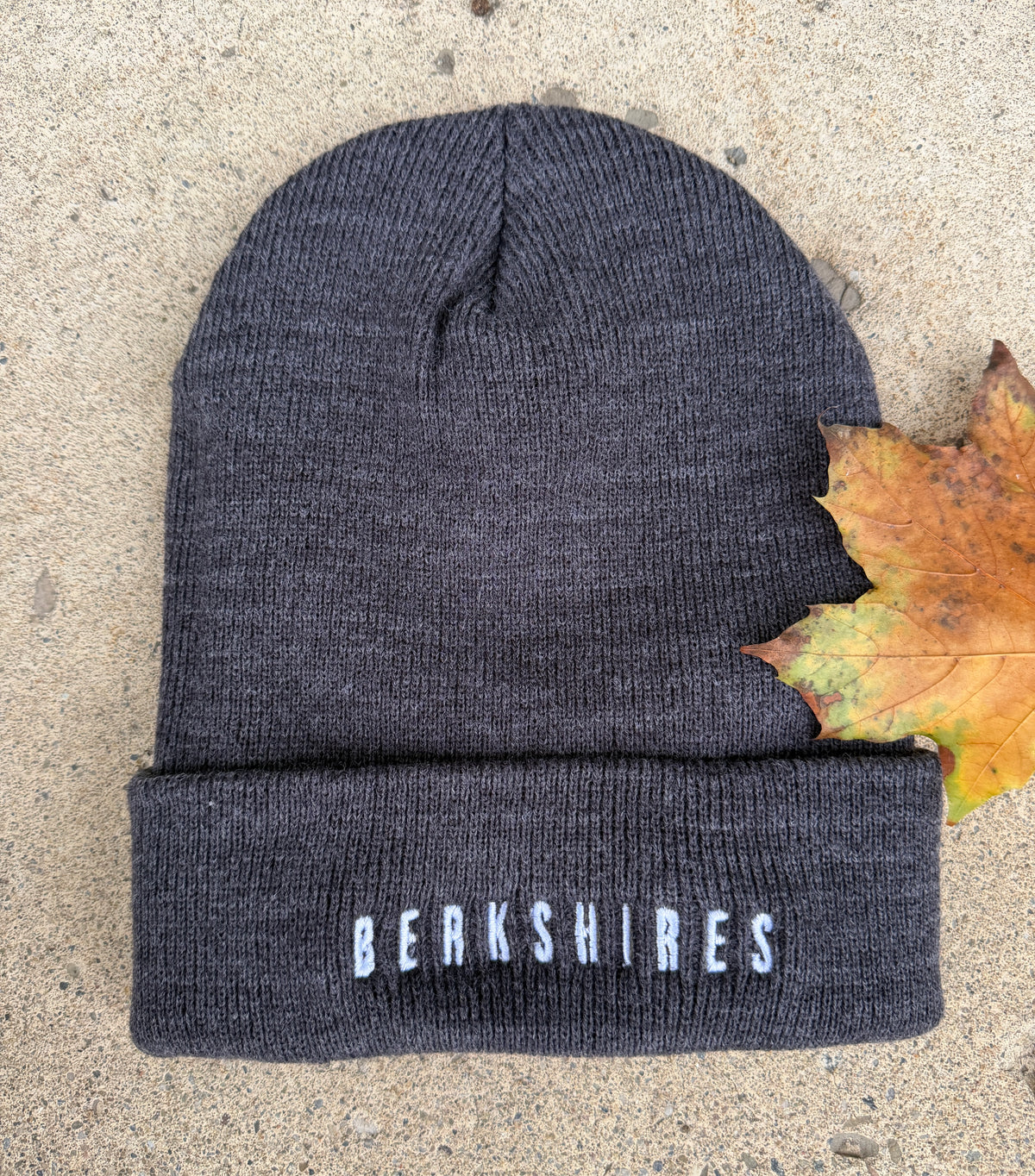 Berkshires Knit Beanie