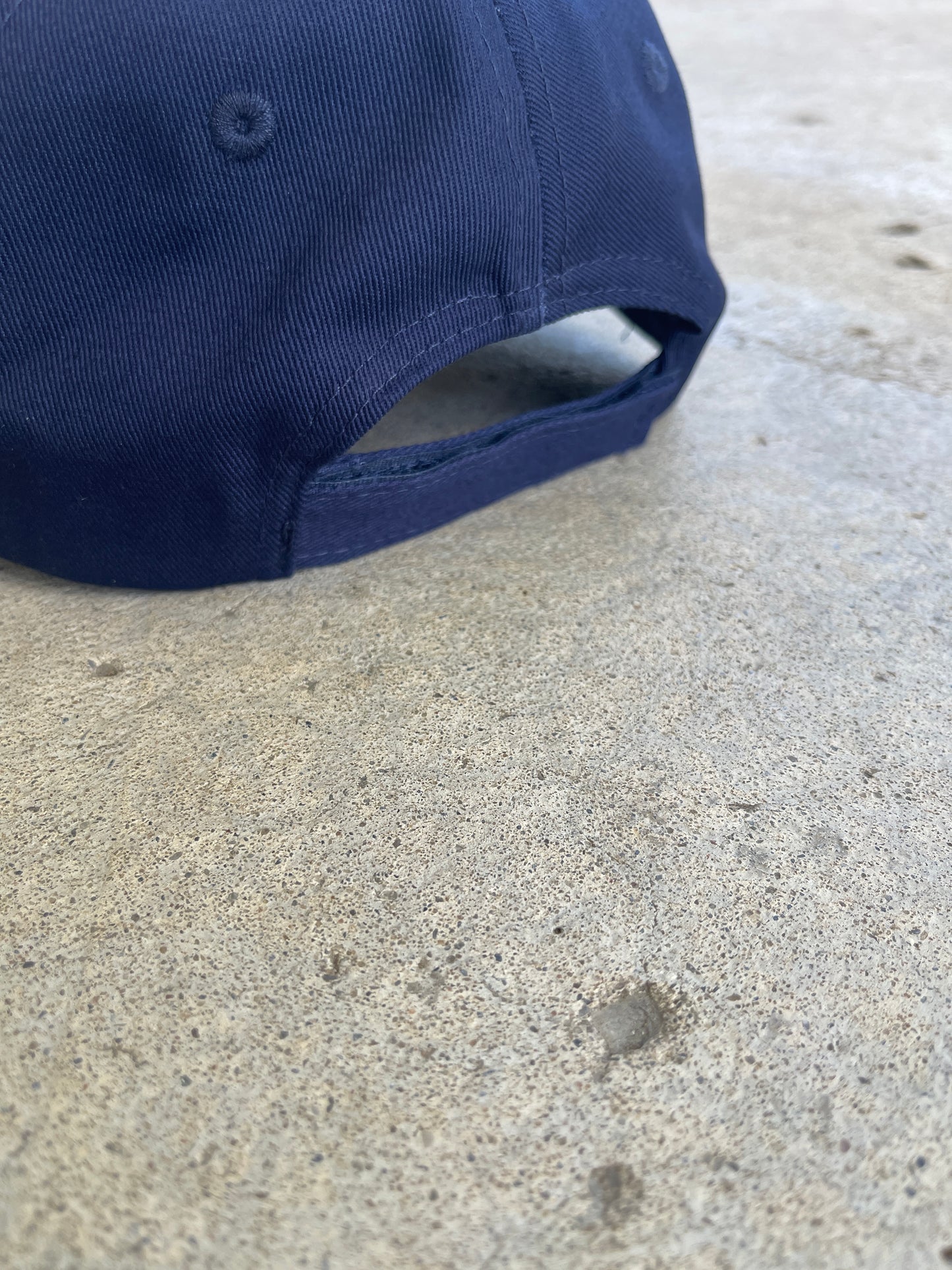 Albany Nipper Baseball Hat