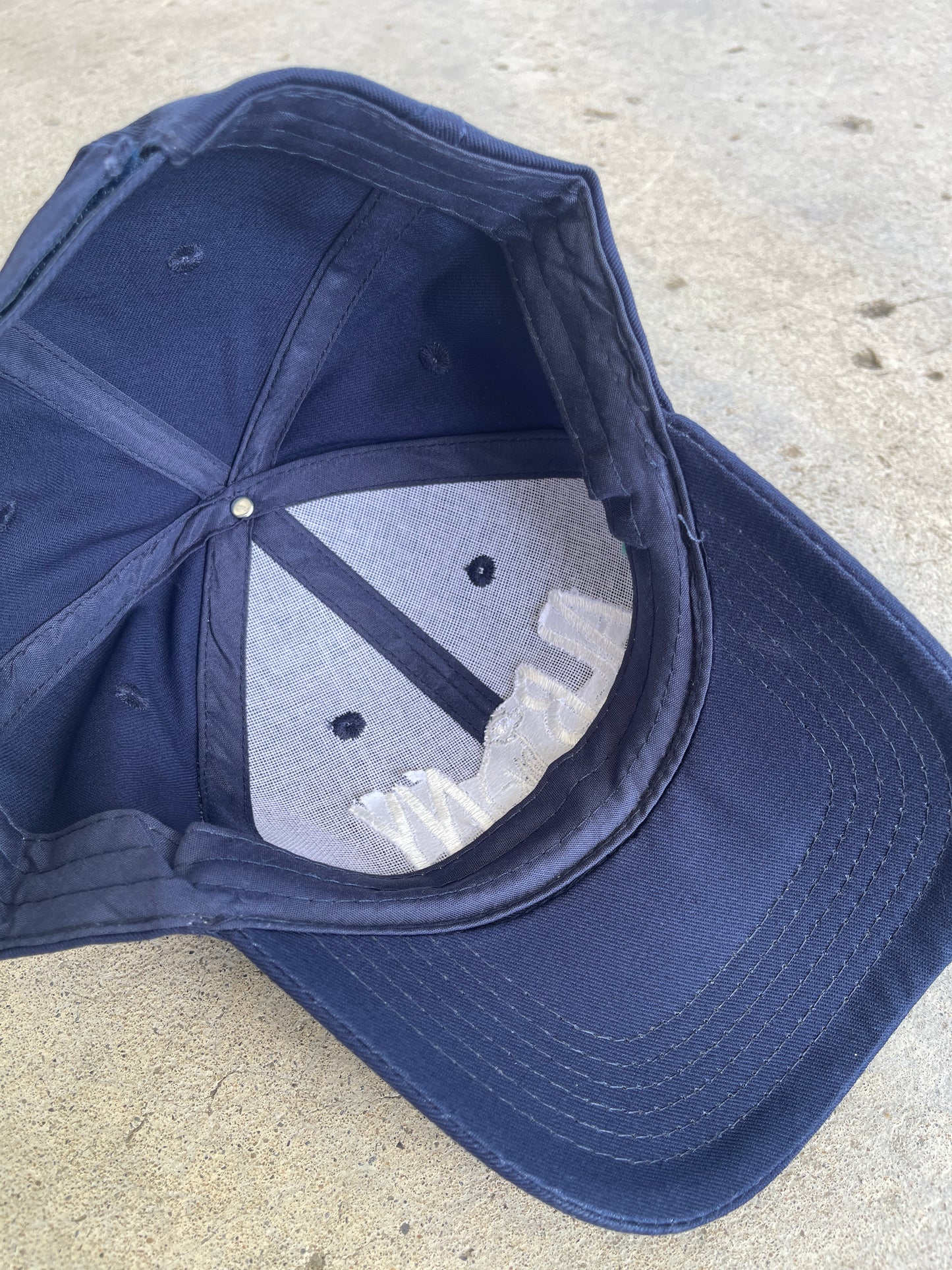 Albany Nipper Baseball Hat