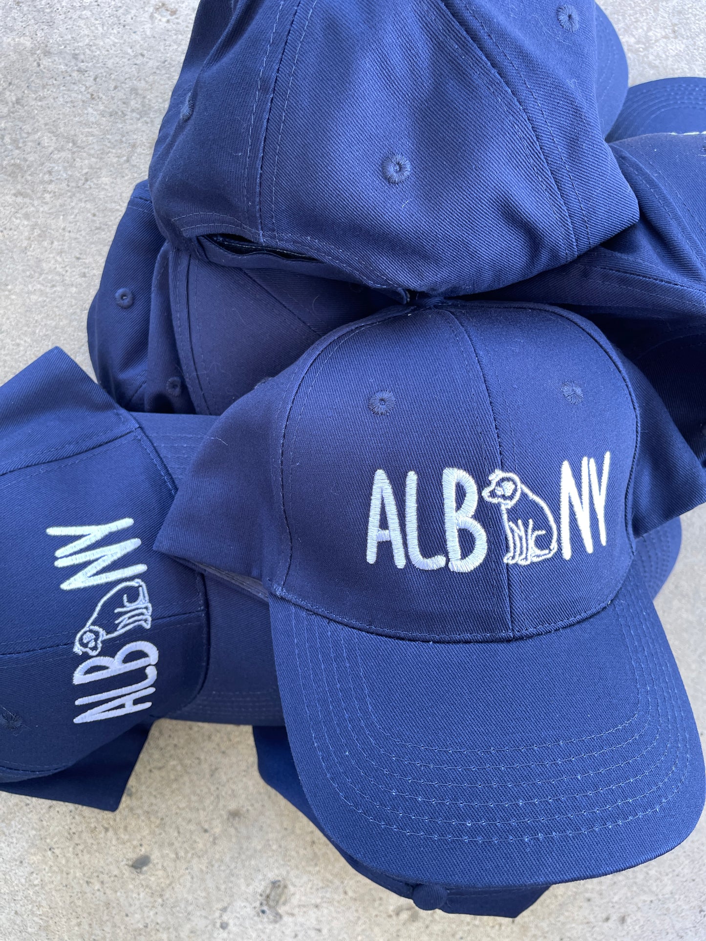 Albany Nipper Baseball Hat
